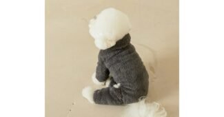 강아지후리스올인원 반드시 체크해 보세요!! 내돈내산 고르는법