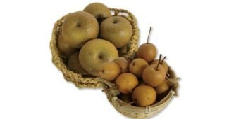 배 찬스!찬스! 이번주 추천상품 BEST8