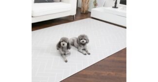 강아지매트 가성비 끝판왕 최강 구매포인트