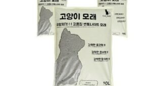 고양이모래 맘들 사이에서 난리난 인플러언서들이 먼저 찾는 상품 BEST8