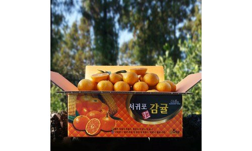 감귤 선택하기 어려워하는 당신을 위한 보물같은 상품 베스트