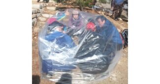 비닐쉘터 완판전 미리 주문 필수! 내돈내산 빈틈없는비교