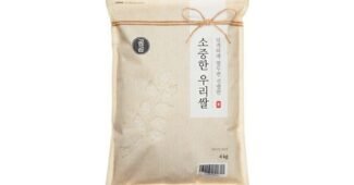 쌀5kg 미리 주문 필수! 필수보유득템 BEST8