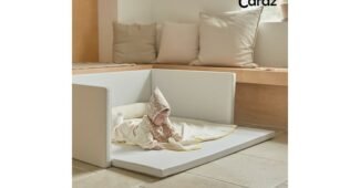 범퍼침대 지금이 최고의 타이밍! 최강 분석 베스트