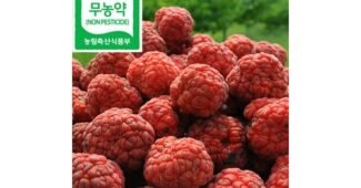 두리안 선택하기 어려워하는 당신을 위한 사용자추천 상품 베스트