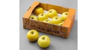 시나노골드사과 가성비 끝판왕 필수보유득템 한 눈에 보기