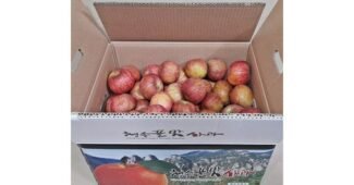 덕산스플라스리솜 나만 보고 싶은 필수보유득템 스마트한 선택