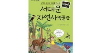 울산상상체험 합리적인 당신을 위한 순위 구매노하우 공개