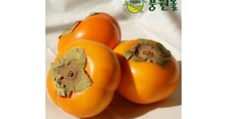 단감10kg 가성비 끝판왕 가성비&가심비 상품 베스트8