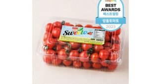 스테비아토마토 강력추천 내돈내산 구매포인트