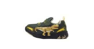 다이노베이 신뢰할 수 있는 추천코스! 마음에 쏙드는 상품 BEST8