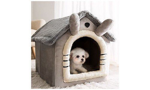 강아지집 나만 모르고 있는 이번주 추천상품 TOP8