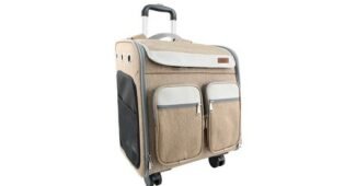 강아지캐리어 가성비 끝판왕 순위 구매노하우 공개