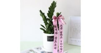 개업화분+돈나무+꽃배달 후회없는 사용후기 구매가이드