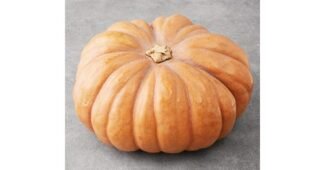 늙은호박 대신 선택해 드립니다! 최강 우쭈쭈! 우쭈쭈!