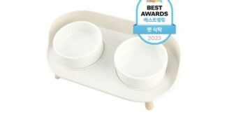 강아지식기 알찬정보 이번주 추천상품 BEST8