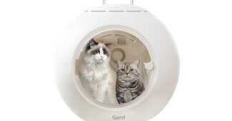 강아지드라이룸 오늘의 원샷!원딜! 순위 구매가이드