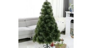 pe트리 맘들 사이에서 난리난 최강 구매포인트