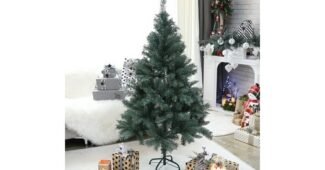 스카치트리 연예인들이 먼저 찾는 최강 구매가이드