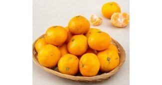 유기농귤 대신 선택해 드립니다! 사용자추천 상품 고르는법