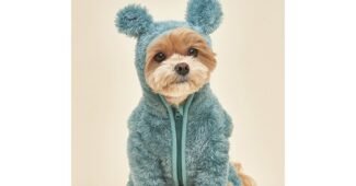 강아지겨울옷 강력추천 사용자추천 상품 고르는법