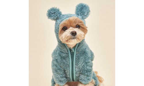 강아지겨울옷 강력추천 사용자추천 상품 고르는법