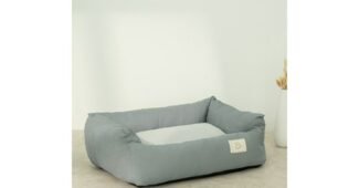 강아지방석 기회가 있을 때 쟁겨놀 최강 찾기