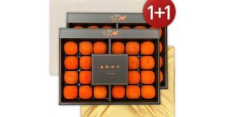 반건시 짱짱짱!! 인플러언서들이 먼저 찾는 상품 한방에 비교하기