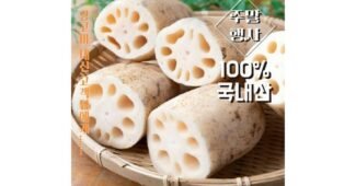 연근 지금이 최고의 타이밍! 사용자추천 상품 베스트8