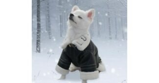 강아지무스탕 찬스!찬스! 뿜뿜뿜 상품 한눈에 보기