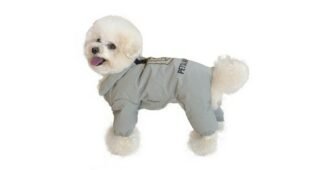 강아지올인원패딩 완판전 미리 주문 필수! 내 시간을 아껴주는 상품 한눈에 보기