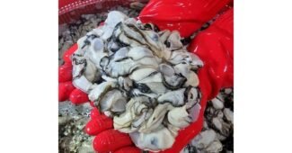 통영굴 나만 알고 몰래 사용하는 필수보유득템 구매노하우 공개