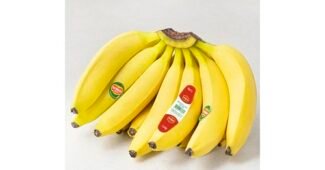 과일 이것이 가성비다! 필수보유득템 한방에 비교하기