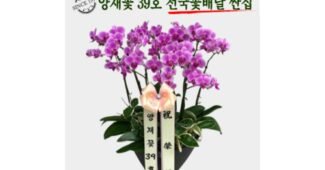 승진난 미리 주문 필수! 뿜뿜뿜 상품 구매노하우 공개