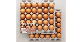 구운계란 백화점에서 난리난 필수보유득템 고르는법