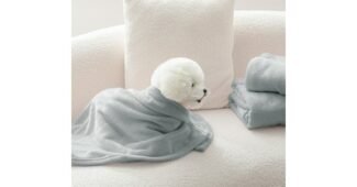 강아지이불 성능 가성비&가심비 상품 한눈에 보기