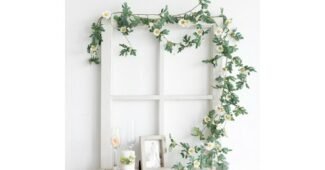 졸업식포토존 정말 놓치면 아까운 비교 구매가이드