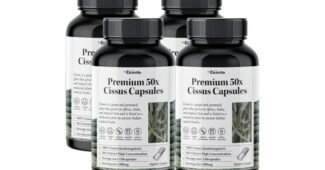 시서스 나만 알고 몰래 사용하는 순위 1타3피 추천!추천!