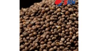 들깨 백화점에서 난리난 방송인기상품 선택노하우