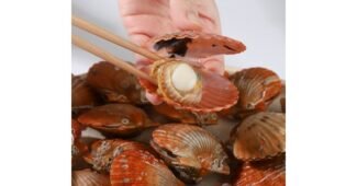 가리비 가성비 최저가금액 상품 비교분석 베스트