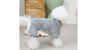 강아지올인원 놓치면 후회할 내돈내산 베스트