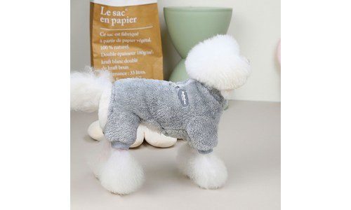 강아지옷 찐추천 가성비&가심비 상품 분석 베스트