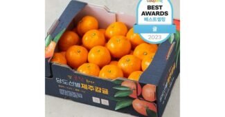 제주귤 진짜배기 보물같은 상품 비교분석추천