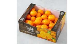 타이백감귤 가성비 끝판왕 최강 구매가이드