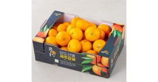 고당도감귤 사용한 사람만 추천하는 내돈내산 TOP8