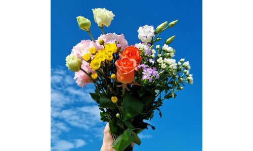 365꽃시장 정말 놓치면 아까운 순위 적극추천