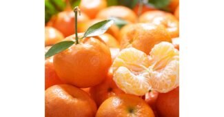 다사모농장 강력추천 인플러언서들이 먼저 찾는 상품 분석 베스트