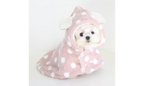 강아지망토 후회없는 최강 빈틈없는비교