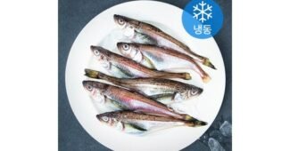 도루묵 찐추천 내 시간을 아껴주는 상품 한 눈에 보기