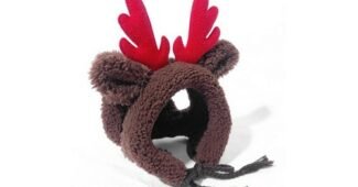 강아지크리스마스 후회없는 내 시간을 아껴주는 상품 강추!강추!